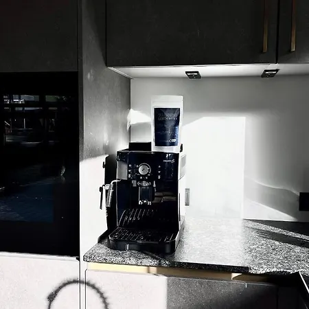 公寓 Loft 斯拉德明