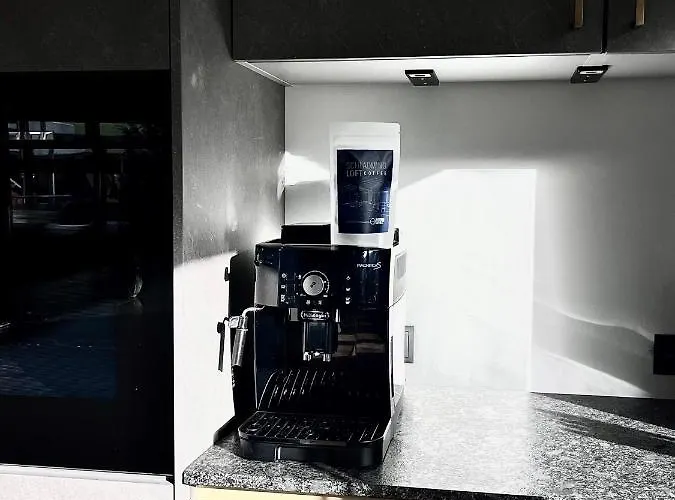 公寓 Loft 斯拉德明